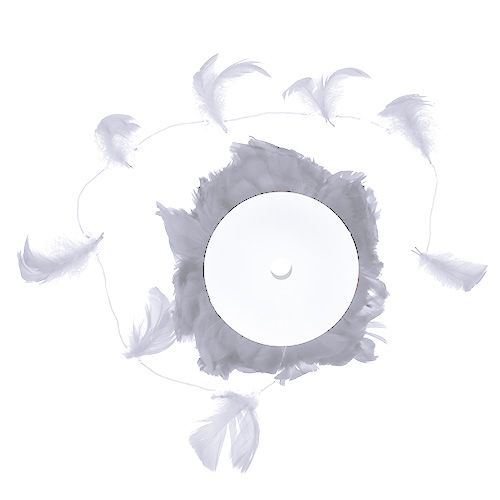 Floristik24 Ressort sur fil Blanc 10m