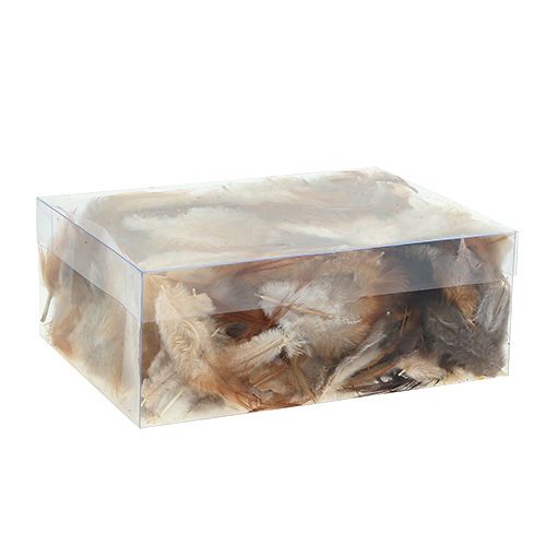 Floristik24 Sorte de plumes. 5-15cm nature 228pcs