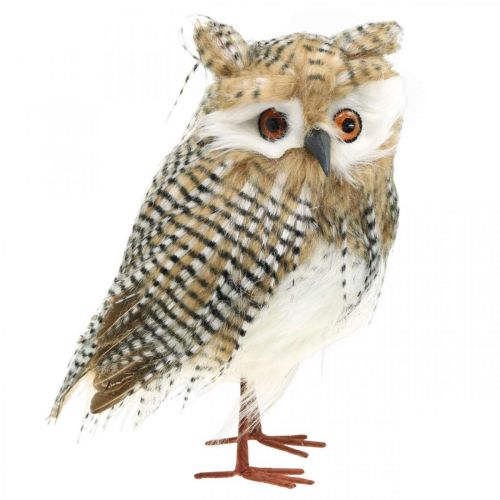 Floristik24 Hibou déco, automne, animal de la forêt, décoration hiver H27cm