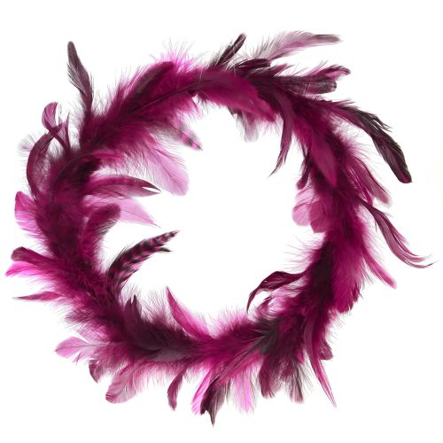 Floristik24 Couronne de plumes décoration de plumes bordeaux plumes de faisan Ø20cm 3 pcs