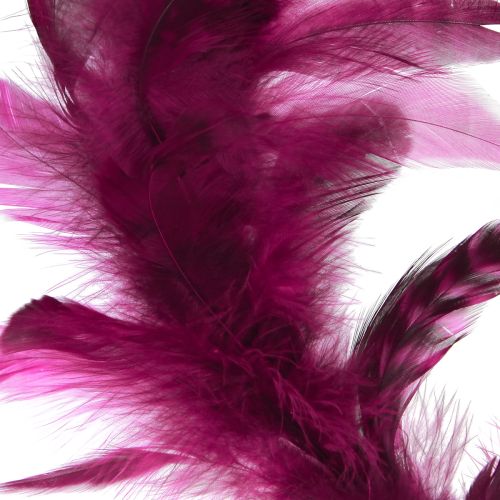 Article Couronne de plumes décoration de plumes bordeaux plumes de faisan Ø20cm 3 pcs