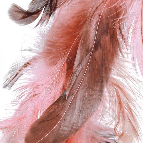 Article Couronne de plumes en décoration de plumes de faisan en rose Ø20cm 3 pièces