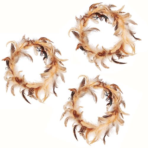 Article Couronne de plumes en plumes décoratives marron clair Ø20cm 3 pcs