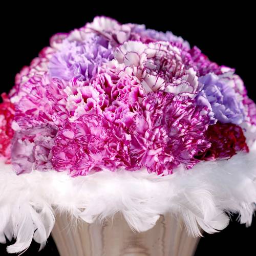 Couronne de plumes beige Ø 20 cm 3 p.