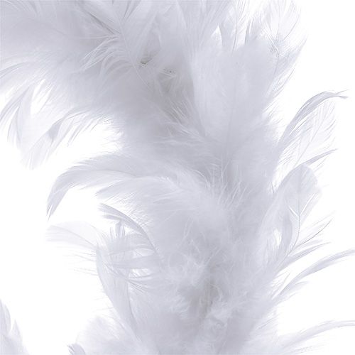 Article Couronne de plumes blanche Ø 15 cm 4 p.