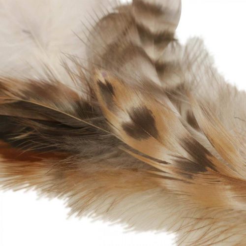 Guirlande de plumes déco plumes nature déco Pâques Ø15cm 4pcs