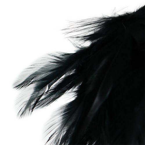 Floristik24 Boule à plumes Ø10cm noire à accrocher