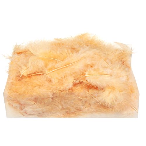Article Plumes orange pour bricolage de printemps et de Pâques 5-10cm 20g