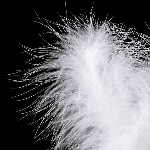Article Plumes sur fil L27cm blanc 6 pcs