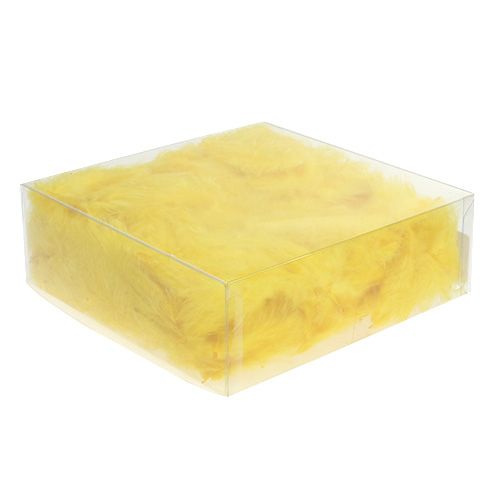Floristik24 Plumes courtes 30g Jaune