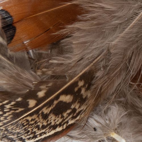 Article Plumes pour des idées de loisirs créatifs variées, design et décoration, 5 cm, 3 g