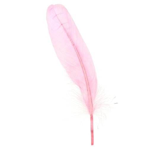Floristik24 Plumes pour travaux manuels Plumes d&#39;oie rose 18cm - 20cm 20g x 2pcs