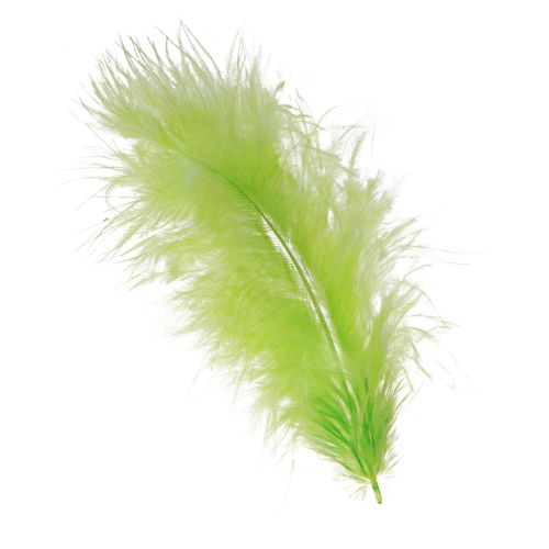 Floristik24 Plumes à bricoler en décoration de plumes vert clair 5-10cm 20g