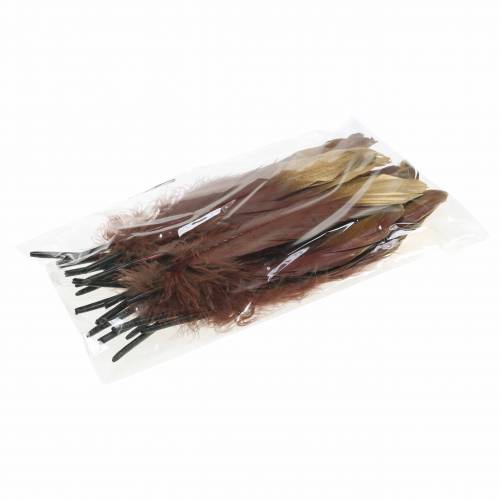 Floristik24 Plumes bordeaux, or 18-23cm 24 pcs