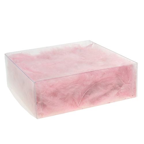 Floristik24 Plumes courtes 30g Rose