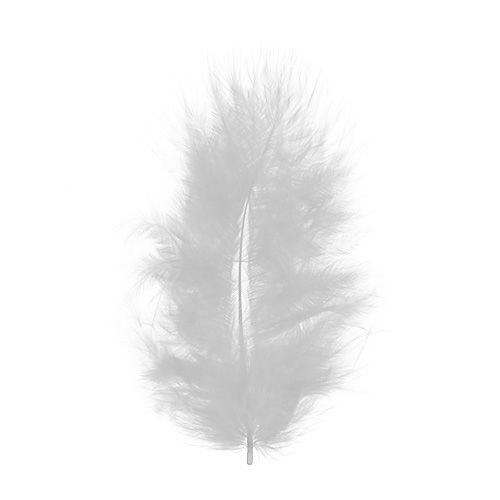 Floristik24 Plumes courtes 30g blanches