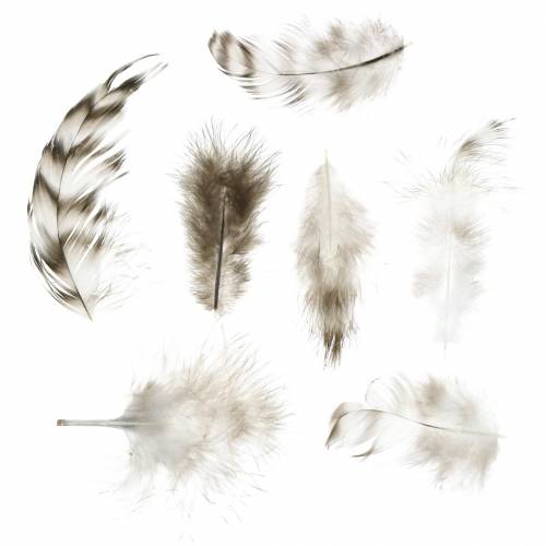 Article Plumes naturelles 5.5 - 10cm 10g