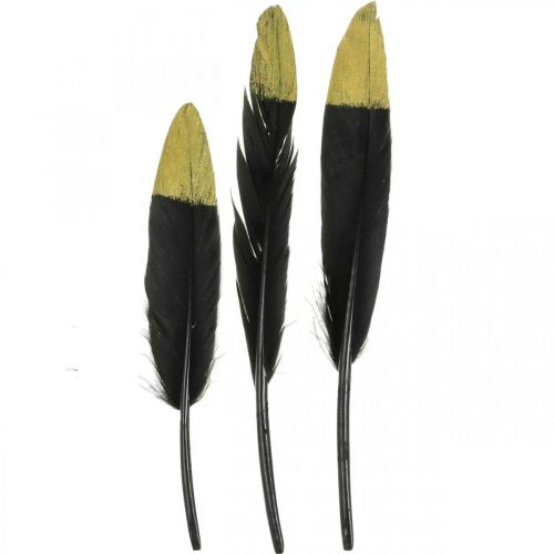 Floristik24 Plumes décoratives noires, vraies plumes dorées pour travaux manuels 12-14 cm 72 pièces