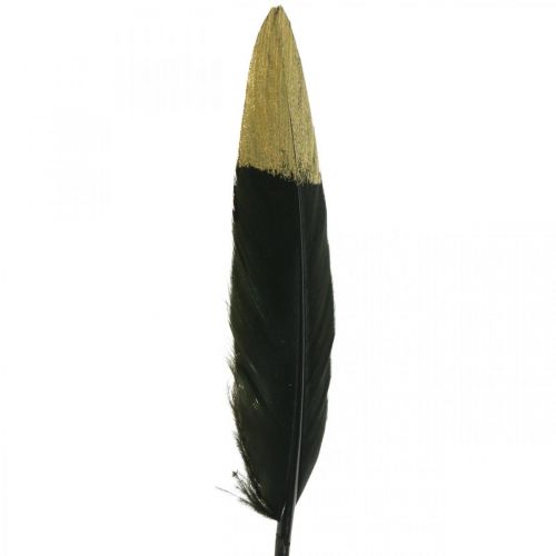 Article Plumes décoratives noires, vraies plumes dorées pour travaux manuels 12-14 cm 72 pièces