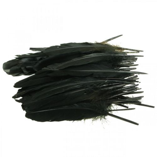 Article Plumes déco plumes d&#39;oiseau noir pour bricolage 14-17cm 20g