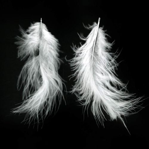 Article Plumes Blanches Véritables plumes d'oiseaux pour décorer les décorations de Pâques 20g