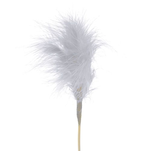 Floristik24 Plumes sur pique Blanc L35cm 12P