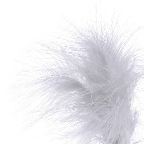 Floristik24 Plumes sur pique Blanc L35cm 12P