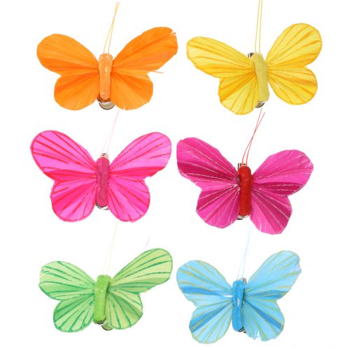 Floristik24 Plume papillon sur clip coloré 6cm 12pcs