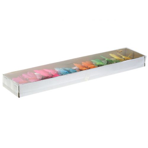 Floristik24 Plume papillon sur clip coloré 6cm 12pcs