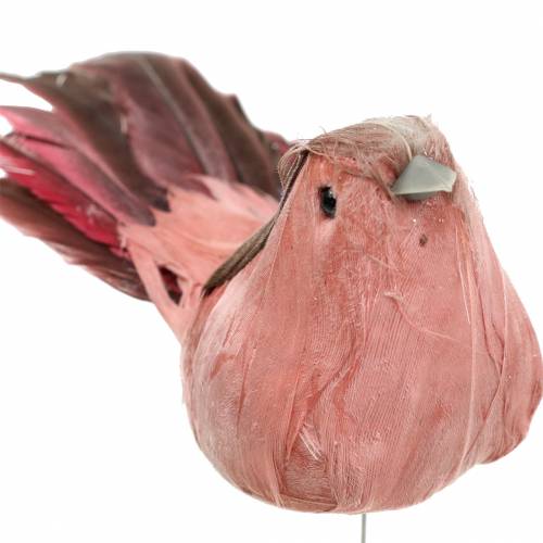 Floristik24 Plume oiseau sur fil rose 12cm 4pcs