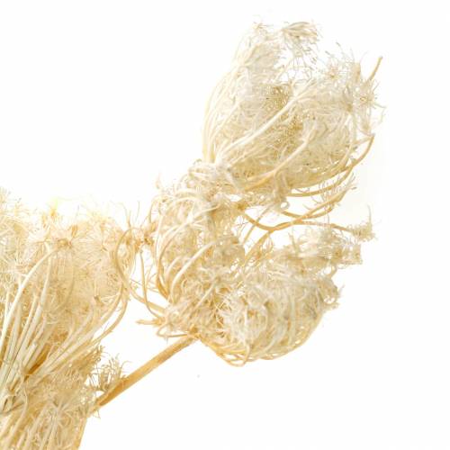 Article Fenouil fleurs séchées blanchies 100g