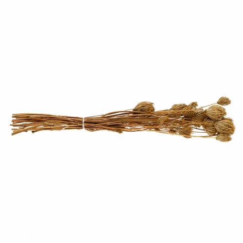 Article Fleurs séchées fenouil nature 100g