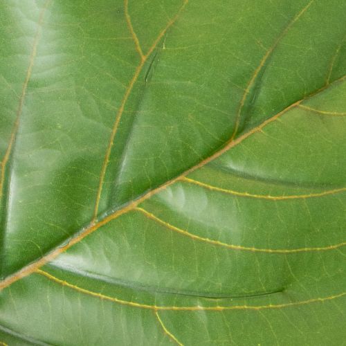 Ficus lyrata artificiel 120 cm en textile et plastique, vert, pour décoration intérieure | Floristik24.fr