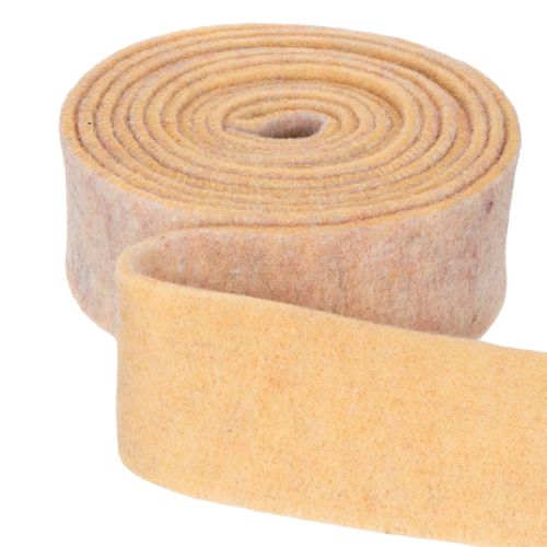 Ruban de feutrine bicolore en