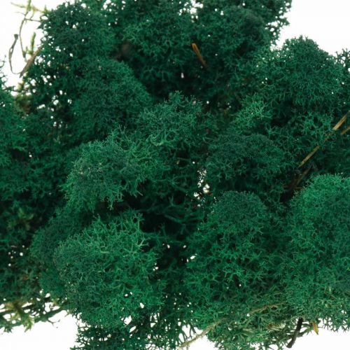 Article Mousse décorative verte islandaise préservée pour l'artisanat 400 g