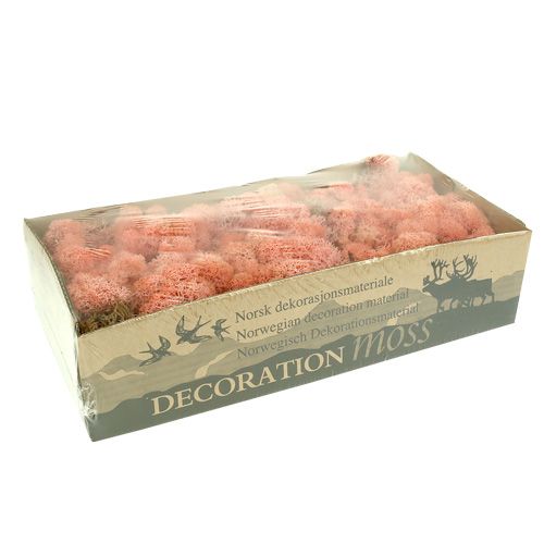 Article Mousse décorative Mousse d&#39;Islande rose 400g