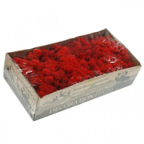Article Mousse déco mousse de renne rouge pour artisanat 400g