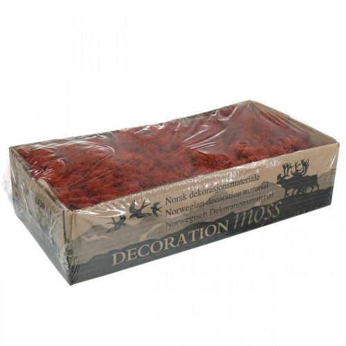Article Mousse décorative rouge de Sienne mousse naturelle pour l&#39;artisanat séchée et teinte 500g