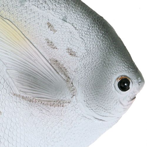 Floristik24 Déco poisson L21cm