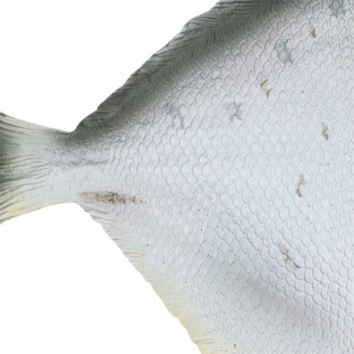 Floristik24 Déco poisson L21cm