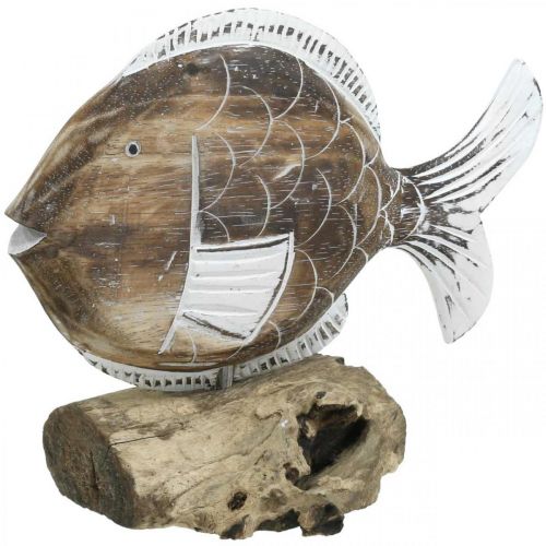 Support en bois poisson décoratif sur racine décoration maritime 27cm