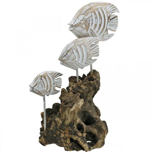 Floristik24 Poisson déco à la racine Décoration maritime blanc lavé H33cm