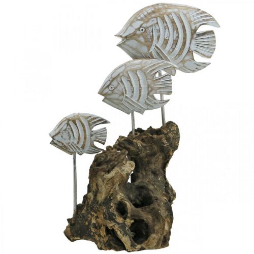 Floristik24 Poisson déco à la racine Décoration maritime blanc lavé H33cm