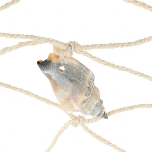 Article Filet de pêche maritime, filet déco à coquillages 100×120cm