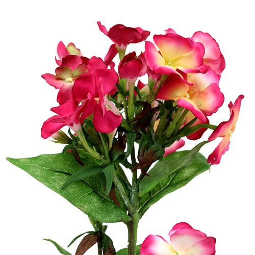 Floristik24 Fleur de flamme rose 72cm