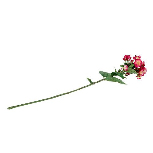 Floristik24 Fleur de flamme rose 72cm