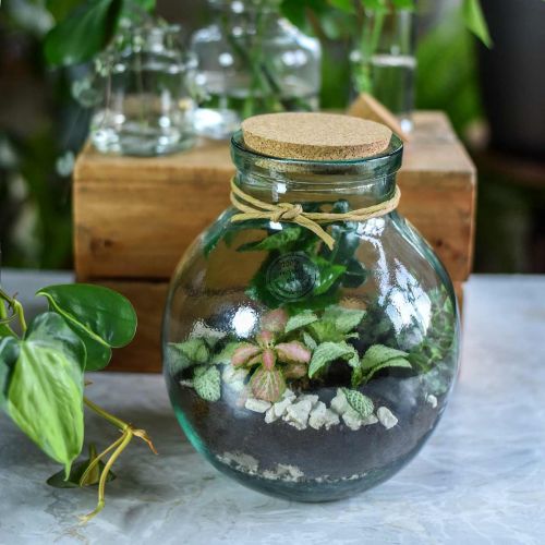 Floristik24 Set de jardin bouteille verre avec couvercle liège et outils Ø21cm H25cm