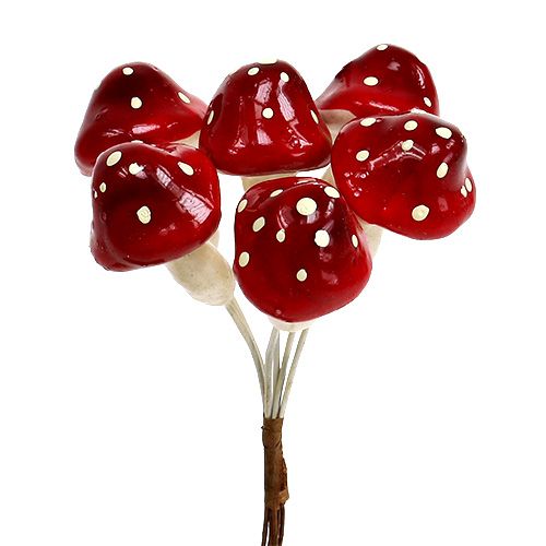 Floristik24 Amanite mouche sur fil 12 vols.