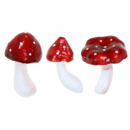 Floristik24 Set d'agaric mouche déco rouge, blanc 6–7cm 12pcs