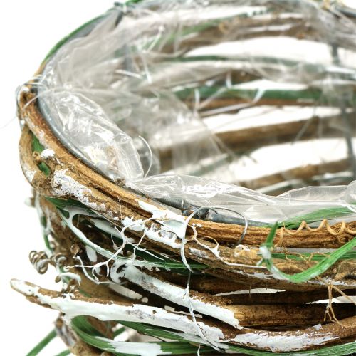 Floristik24 Saule corne d&#39;abondance H20cm